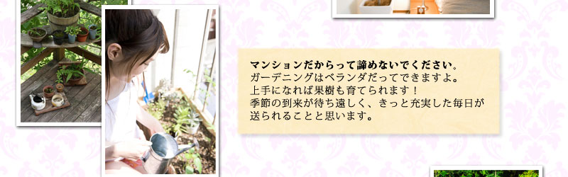 マンションだからって諦めないでください。ガーデングはベランダだってできますよ。上手になれば果樹も育てられます!季節の到来が待ち遠しく、きっと充実した毎日が送られると思います。