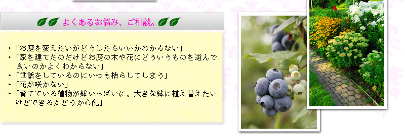 よくあるお悩み、ご相談。Q:クエスチョン「お庭を変えたいがどうしたらいいかわからない」「家を建てたのだけどお庭の木や花にどういうものを選んで 良いのかよくわからない」「世話をしているのにいつも枯らしてしまう」「花が咲かない」などのご質問があれば気軽にご相談ください。「育てている植物が鉢いっぱいに。大きな鉢に植え替えたい けどできるかどうか心配」